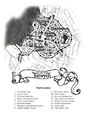 Estwych CIty Map.jpg